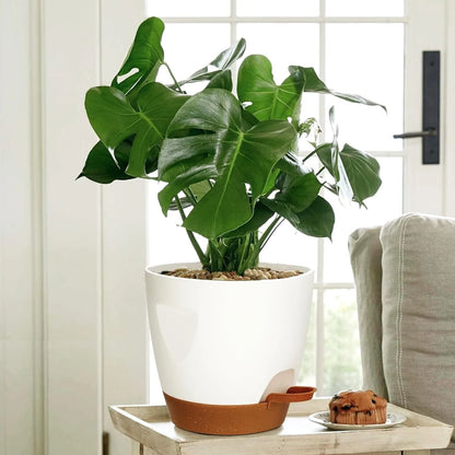 Indoor Decorative Flower Pot with Drainage Hole, 6-Pack, Self-Watering Pot, 20Cm Diameter, Plastic Flower Pot with Tray,